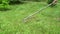 A man removes dry grass with a rake on his lawn after mowing in the garden of a country house.