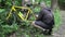 Man repairing bicycle