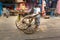 Man rickshaw puller is pulling his hand rickshaw on the street in Kolkata. India