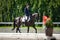 Man rider and black stallion horse trotting fast during equestrian dressage competition