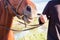 Man rider leads a horse. Horizontal photo