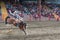 Man rides bucking horse at saddle bronc competition at stampede