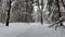 Man rides snowmobile through winter snow forest. Sport snowmobile race in north.