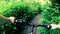 Man riding bicycle on dirt path in forest on sunny summer day. Person cycling