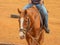 Man riding a brown horse, holding reins with both hands.