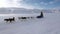 Man riding dog sled team husky Eskimo white snowy road of North Pole in Arctic.