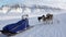 Man riding dog sled team husky Eskimo white snowy road of North Pole in Arctic.