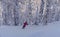 A man riding down the hill in a snowy forest.