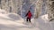 A man riding down the hill in a snowy forest.