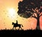 A Man Riding On A Horse Under Sunset, Equestrianism