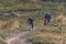 Man riding mountain bicycle downhill and two friends watching him