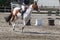 Man riding a pinto horse