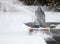 Man on Riding Snowblower with Blowing Snow