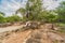 Man in a rocky wilderness in Paraguay