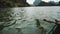 Man Rowing Boat On Ninh Binh, Vietnam