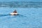 Man rowing a small white boat on the waters of Bar Harbor, Maine