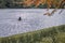 Man rowing on Waterloo lake Roundhay park Leeds