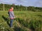 A man rows grass with an oak trimmer in the field, in the yard is summer and the sun shines