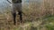 Man with rubber boots scything overground rushes by the lake shore. Man cutting bulrushes with old scythe outside on a sunny day