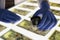 Man in rubber gloves verifying authenticity of american dollar bills closeup