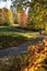 A Man Running in A Park in Autumn