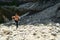 Man Running Up Rocky Hill, Exercising During Outdoor Workout. Sport