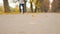 A man runs along the road. Beautiful Autumn Park. Slow motion