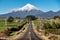 Man runs on a straight road toward snow mountain