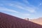 Man runs up the dune in the Wadi Rum desert, Jordan