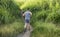 A man runs uphill through a dirt trail surrounding by tall grasses. Jogging outdoors. Active lifestyle