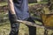 Man with rustic wheelbarrow in garden