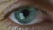 Man`s Eyes Close-up. Video. Close-up of man`s eye, nervous movement. Pupil looks around