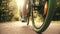 Man`s feet on pedals and moving bicycle in a summer park, low angle view