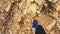 Man`s foot walking on a trail of sedimentary rocks