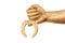 Man\'s golden hand with gold horseshoe