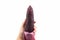 Man`s hand holding red sweet corn or Siam Ruby Queen can be eaten fresh isolated on a white background