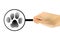 Man\'s hand with a magnifying glass is considering animal trail