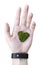 A man`s hand with an open palm with slightly bent fingers, on which moss in the form of a heart of green color lies on a white