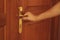 Man`s hand opening wooden door. Holding a gold door handle.