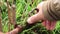 A man`s hand opens a metal tap on a water pipe.