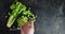 The man`s hand pours the chopped celery into a bowl.