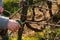 Man`s hand pruning vines. Vine pruning. Copy space. View of the vineyard