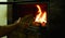 A man\\\'s hand puts wood in the burning fireplace. Modern closed fireplace with glass