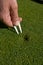 Man\'s Hand Repairs Divot on Golf Green - Vertical