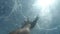 Man`s hand stretches underwater to surface of the sea. Arm asking for help in air bubbles and trying to survive. Point of view of