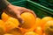 Man`s hand takes a bio orange from the box in a supermarket. Buying oranges in grocery store. Choosing ripped oranges.