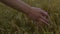 A man`s hand touches ripe wheat. Grain field, harvest care