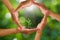 Man`s hands around young green sprout on blurred green bokeh background