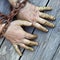 Man`s hands chained with old rusty thick chain on the wooden boards