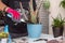 Man\'s hands with gloves transplanting an aloe